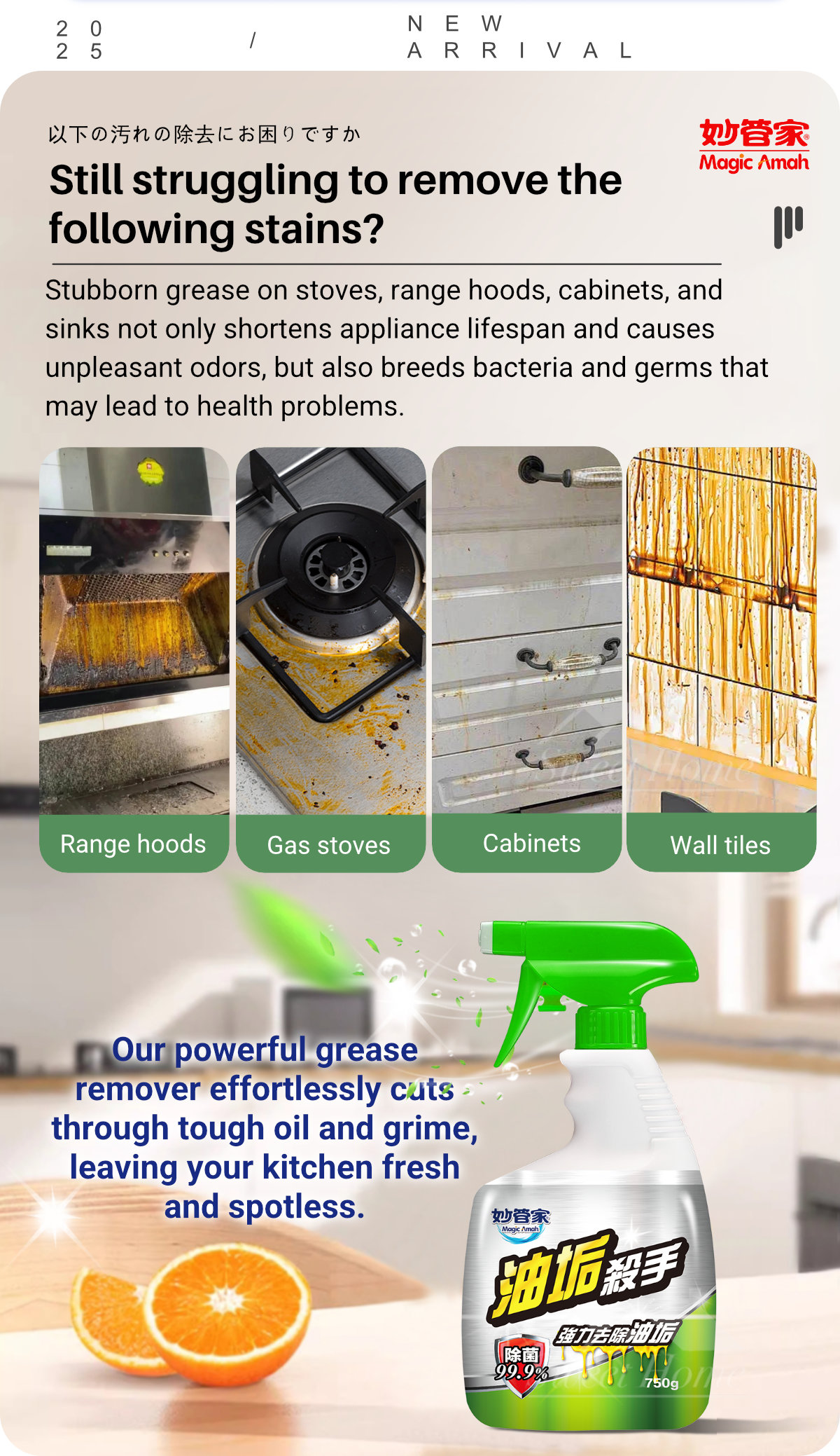 22491-Kitchen Grease Killer x 2 Bottle-2